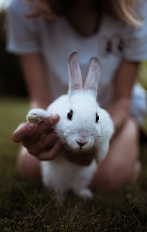 عکس پروفایل کیوت دخترونه با خرگوش زیبا